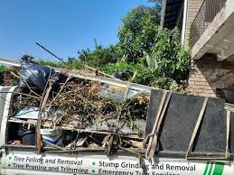 Demolition Debris Removal in Lake City, FL