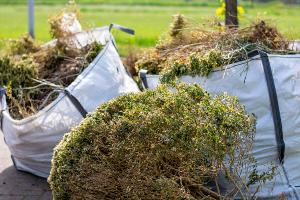 Best Property Management Cleanouts  in Lake City, FL