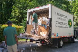 Best Furniture Removal  in Lake City, FL
